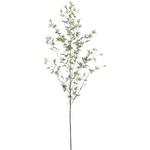 爽風竹 タカショー