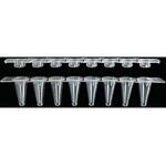 PCR-0108LP-TCP-C 0.1mL 8連ロープロファイルチューブ 透明薄壁タイプ ， 8連クリアキャップ PCR-0108LP-TCP-Cシリーズ Novas Bio