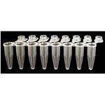 0.2mL 8連PCRチューブ 透明薄壁タイプ ， 一体型フロストフラットキャップ PCR-0208-IF-Fシリーズ Novas Bio