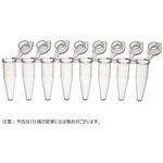 PCR-0208-IF-RT 0.2mL 8連PCRチューブ 透明薄壁タイプ ， 一体型クリアキャップ qPCR用 PCR-0208-IF-RTシリーズ Novas Bio