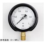 BC12-281 密閉型圧力計(75Φ)0.6MPa 立形B枠 BC12-281シリーズ 長野計器