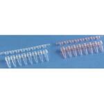 Fisherbrand 8連PCRチューブ 14-230シリーズ Thermo Fisher Scientific