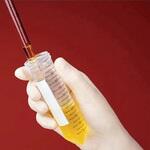 Fisherbrand(TM) Easy Reader(TM) 遠沈管/コニカルチューブ Thermo Fisher Scientific