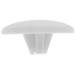 S65 パールW(+)ビスキャップS NO2 大阪魂