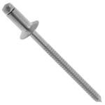 KRS.B.Rサラ(ステ-ステ 大阪魂