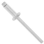 B.R.TIW(ステン-ステン 大阪魂