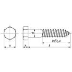 6カクコーチ(B=13 大阪魂