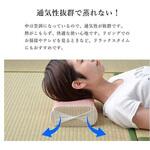 1120590041601 カラフル 寝具 枕 ブルー 30×20cm イケヒコ・コーポレーション
