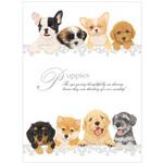 PKA5便箋 エヌビー社