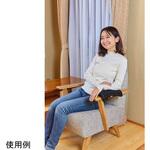 ビーズクッション ひじかたらくだくん 龍野コルク工業