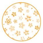 FR-5572 食事用エプロン さくら オレンジ 1箱 100袋入 ファーストレイト