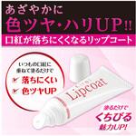 口紅が落ちにくくなる きれいリップコート グリム