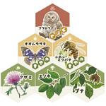 生態系ボードゲーム エコピラ ナリカ