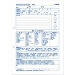 B21124 看護・介護記録用紙 ナーシィ2 訪問看護日誌 A4 1セット 50組×20冊入 タニシ企画印刷/CAPS(キャプス)