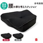 腰の事を考えたクッション 低反発 レッド 約38×43× 高さ 8～13cm モリシタ