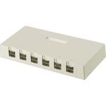 PANDUIT CAT5E 1個口 スプリングシャッター付ローゼットキット