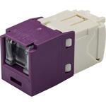 スプリングシャッター付モジュラージャック(カテゴリ6) PANDUIT