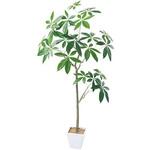 年間デコレーション 立木(光触媒) アルファ(販促)