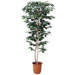 年間デコレーション 立木(光触媒) アルファ[販促]