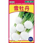 雪牡丹(コカブ) 武蔵野種苗園