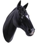 fr150090bl 馬の頭部・壁掛け(黒) / Horse Head - Wall Decor 1個 ...