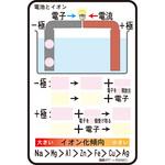 N65-2510-17 中学校理科説明ボード 電池とイオン ナリカ
