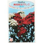 【タネ】高性紅なでしこ 混合 福花園