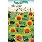 種別 ヒマワリ 植物 草花の種 春まき 通販 現場を支える モノタロウ