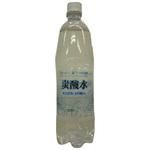 友桝 炭酸水 ペット 友桝飲料
