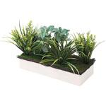 プランターボックス幅60cm用 専用植栽 ストア・エキスプレス