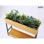 プランターボックス幅120cm用 専用植栽 ストア・エキスプレス