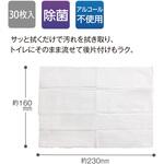 流せるトイレ用ウェットシート30枚入 テラモト