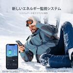 RENOGY ONE CORE エネルギーモニター RENOGY JAPAN