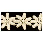 ケミカルレース 日本紐釦貿易