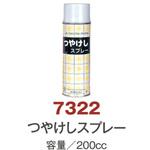 NKZ7322 つやけしスプレー 日本教材