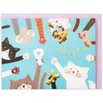 EAR-817-596 誕生日カード ゆるアニマルねこII 日本ホールマーク