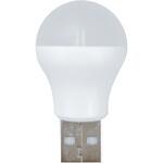 USBミニ電球型ライト ELPA