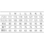 AC対応フード一体型クリーンスーツ(ステライザー) アドクリーン