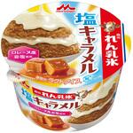 [冷凍]森永れん乳氷 塩キャラメル 森永乳業