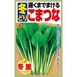 【種 たね タネ】遅くまでまける 冬どり こまつな 小松菜 アタリヤ農園