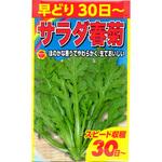 【種 たね タネ】早どり サラダ春菊 しゅんぎく アタリヤ農園