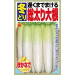 363943 【種 たね タネ】遅くまでまける 冬どり 総太り大根 アタリヤ農園