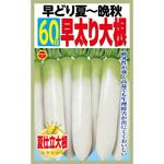 363790 【種 たね タネ】早どり夏～晩秋 60日 早太り大根 アタリヤ農園