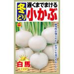 363974 【種 たね タネ】遅くまでまける 冬どり 小かぶ アタリヤ農園