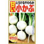 363837 【種 たね タネ】とろけるやわらか 甘い 小かぶ アタリヤ農園