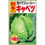 363882 【種 たね タネ】甘くてジューシー 秋冬どり キャベツ アタリヤ農園