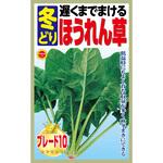 363950 【種 たね タネ】遅くまでまける 冬どり ほうれん草 アタリヤ農園
