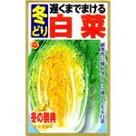 363998 【種 たね タネ】遅くまでまける 冬どり 白菜 アタリヤ農園