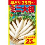 702373 【種 たね タネ】早どり ミニ大根 だいこん アタリヤ農園