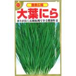 【種 たね タネ】豊産広幅 大葉にら アタリヤ農園